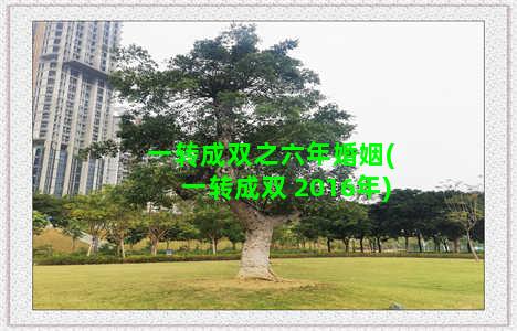 一转成双之六年婚姻(一转成双 2016年)